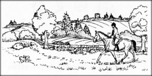 person riding horse on grassy trail